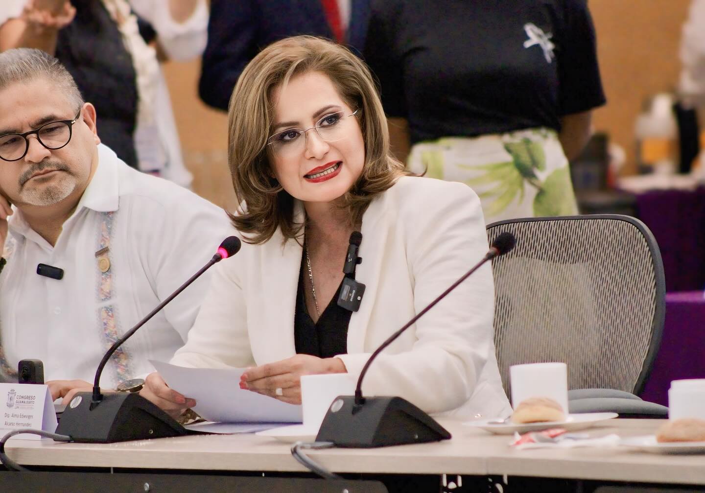 Alma Alcaraz, exdiputada