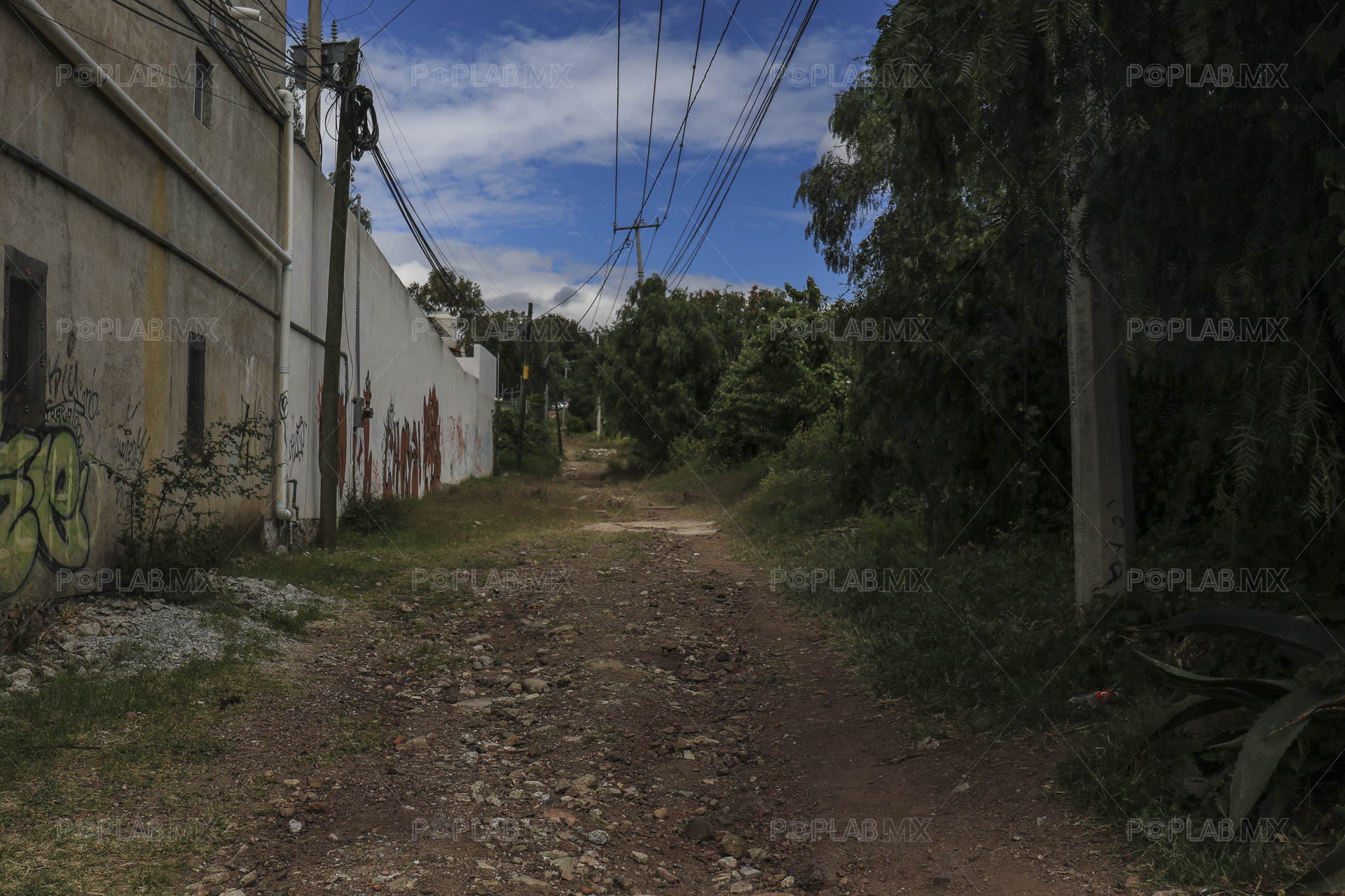 Foto: Juan José L. Plascencia