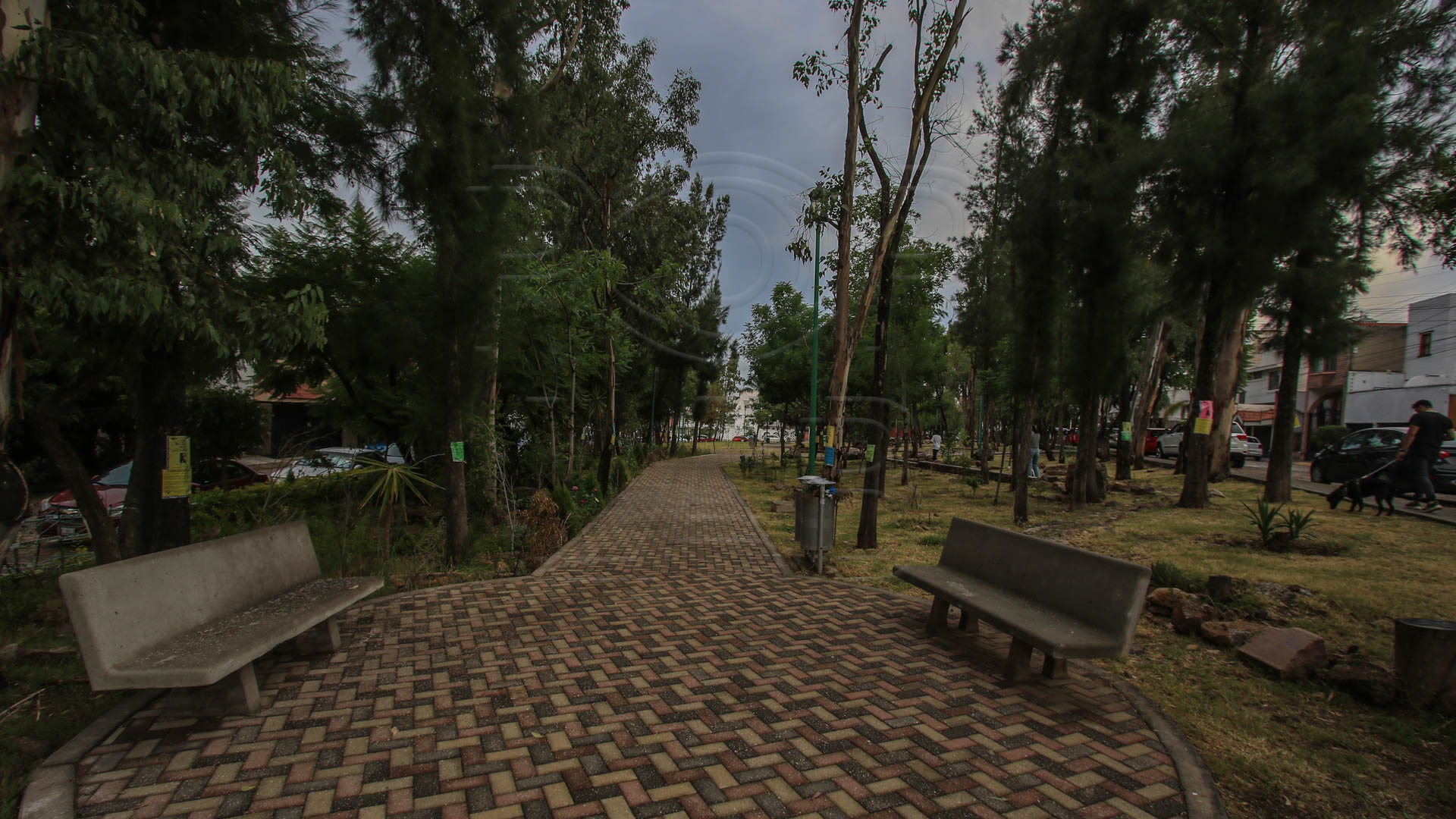 Parques sin iluminación, un foco de inseguridad para transeúntes. Foto: Juan José Plascencia