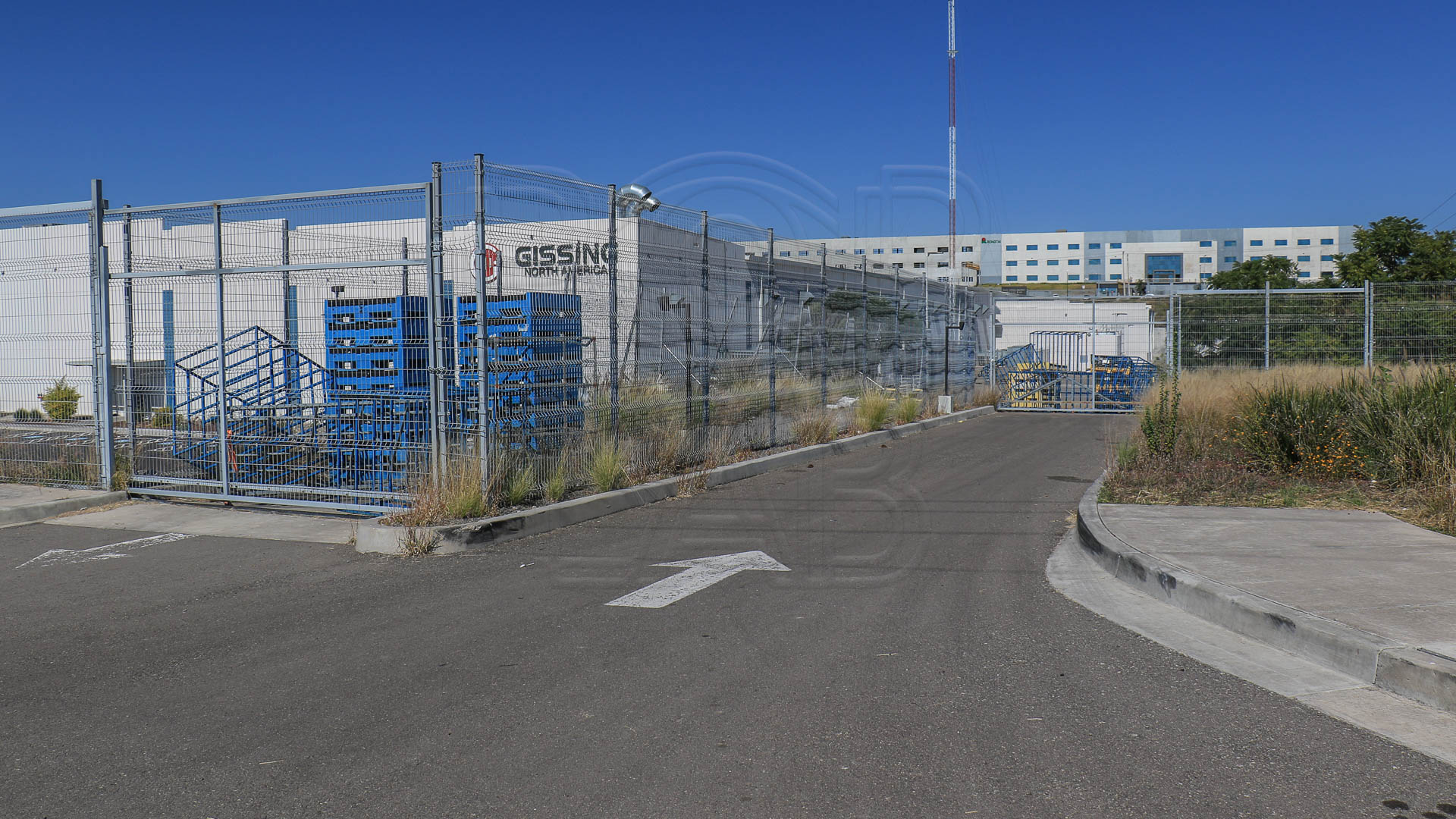 Foto: Juan José Plascencia