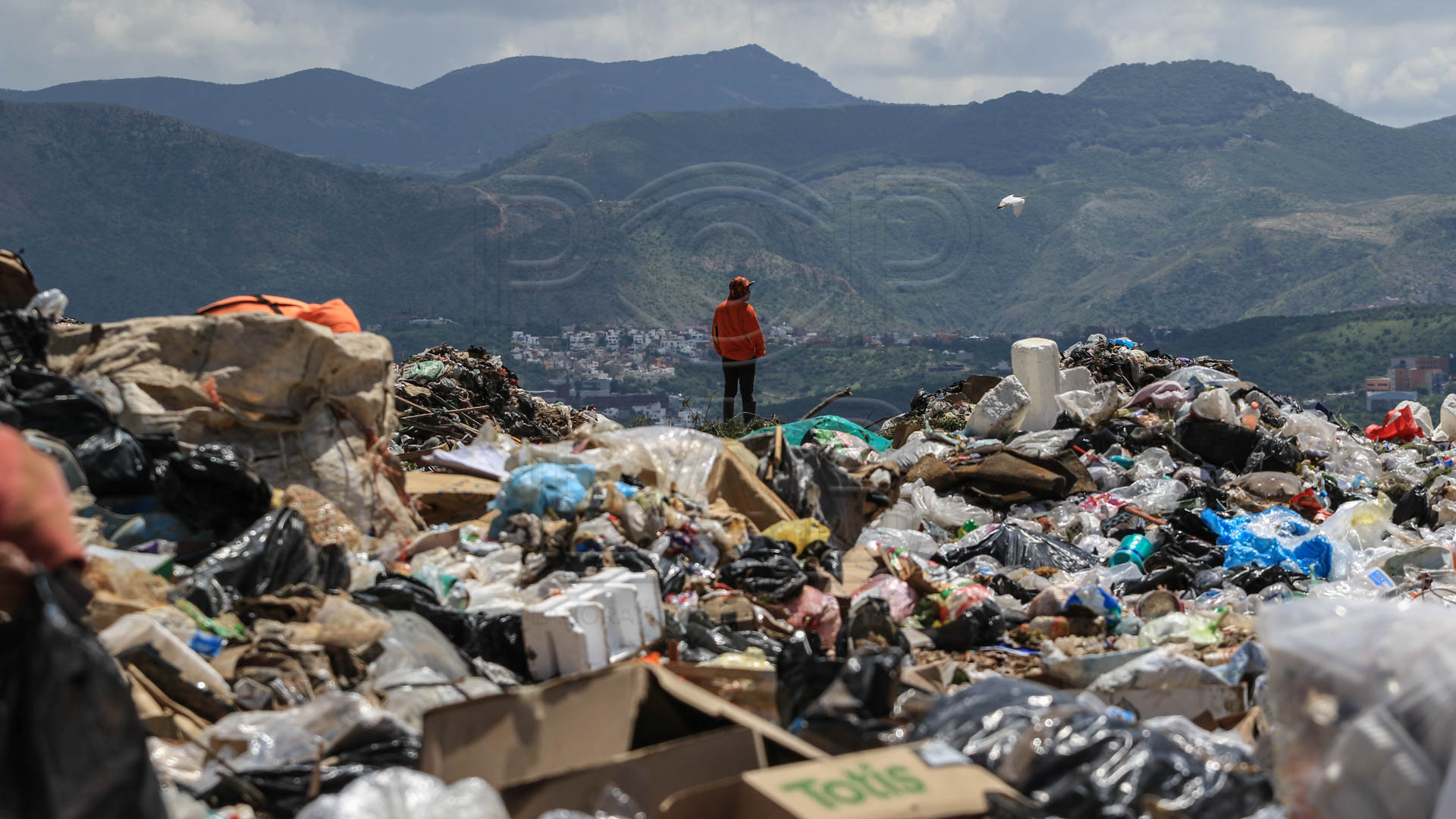 Foto: Juan José Plascencia tiradero municipal de Guanajuato 