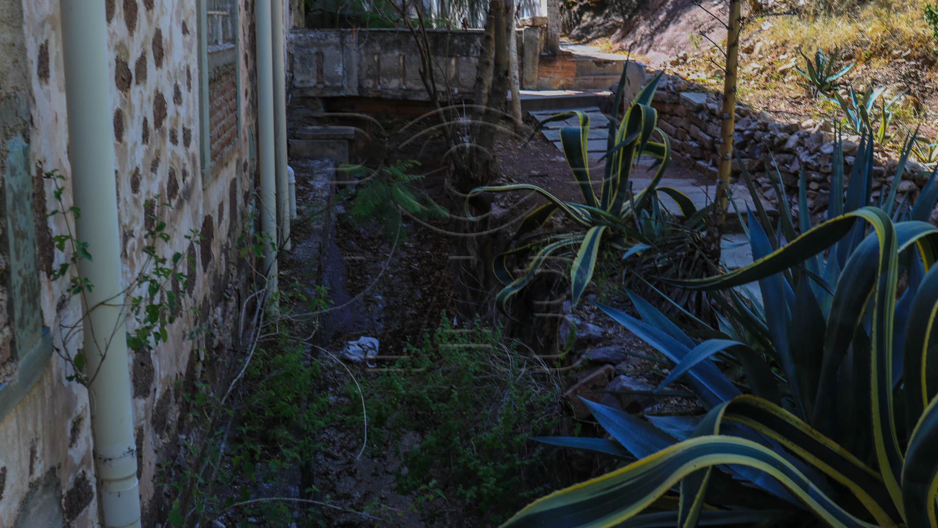 En la zona por donde vecinos del condominio vecino pasa para llegar a su hogar se concentra un fuerte olor a alcantarilla
