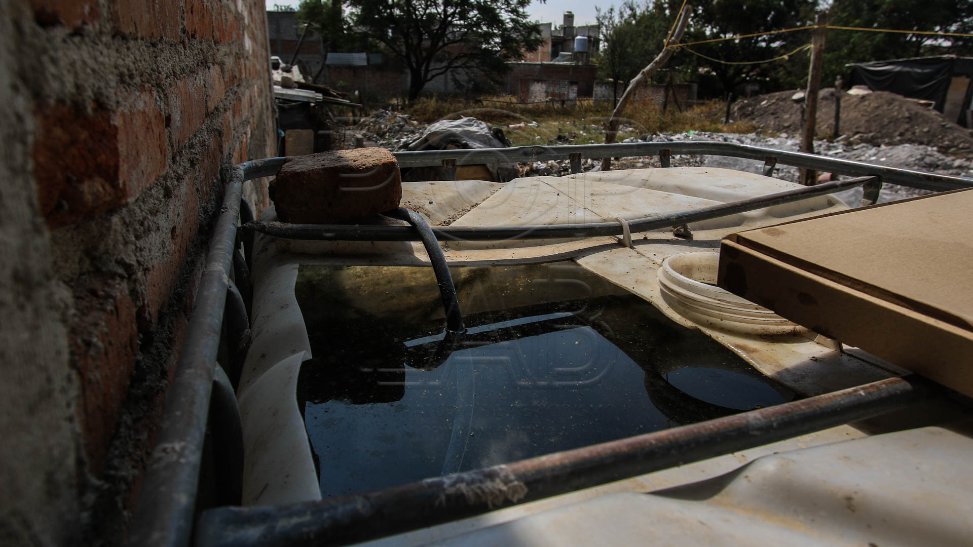 Foto: Juan José Plascencia