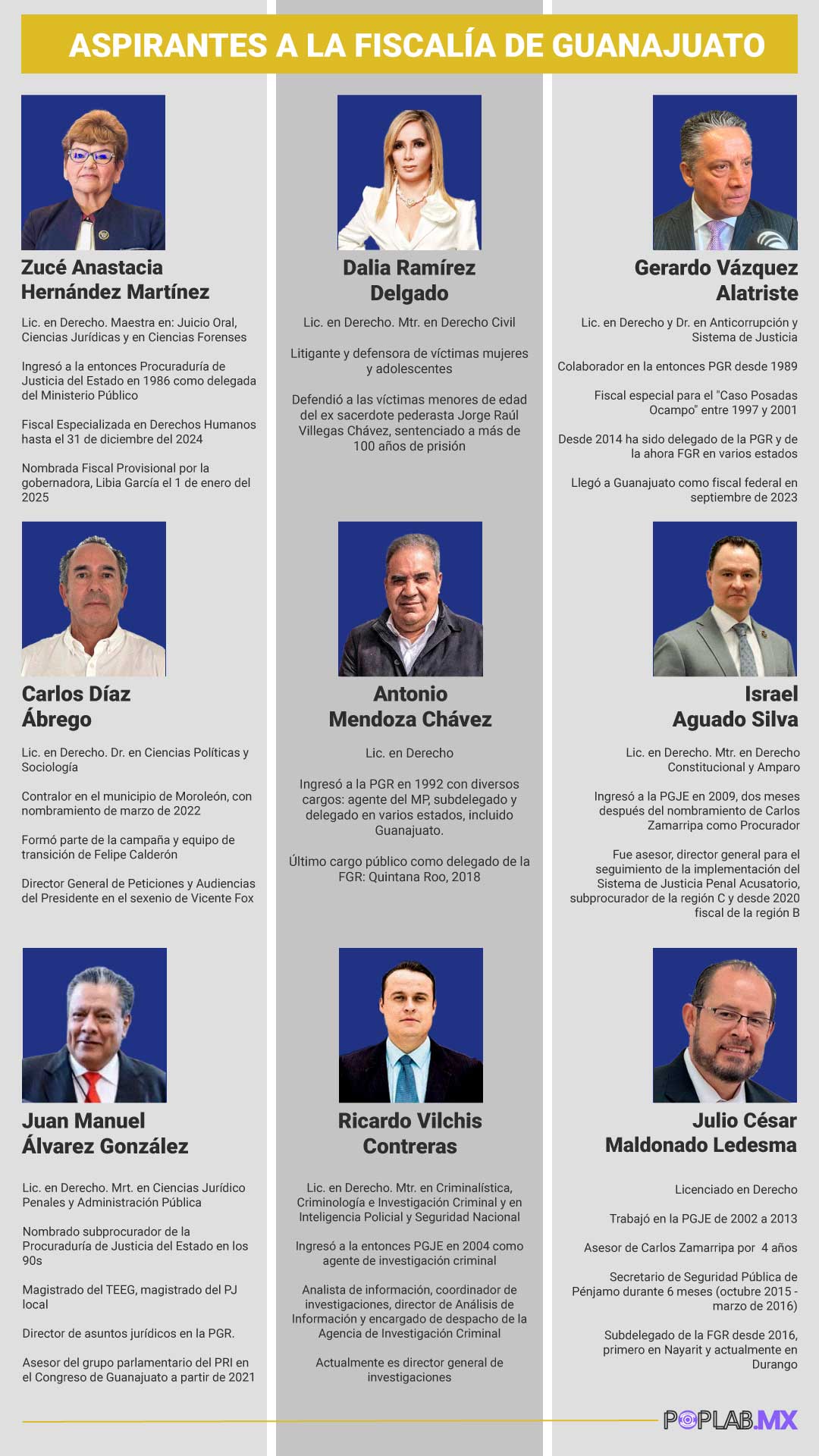 Resumen del currículum de las personas aspirantes