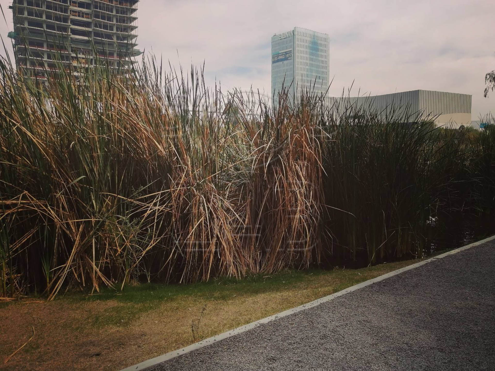 Foto: Fabían Sánchez.