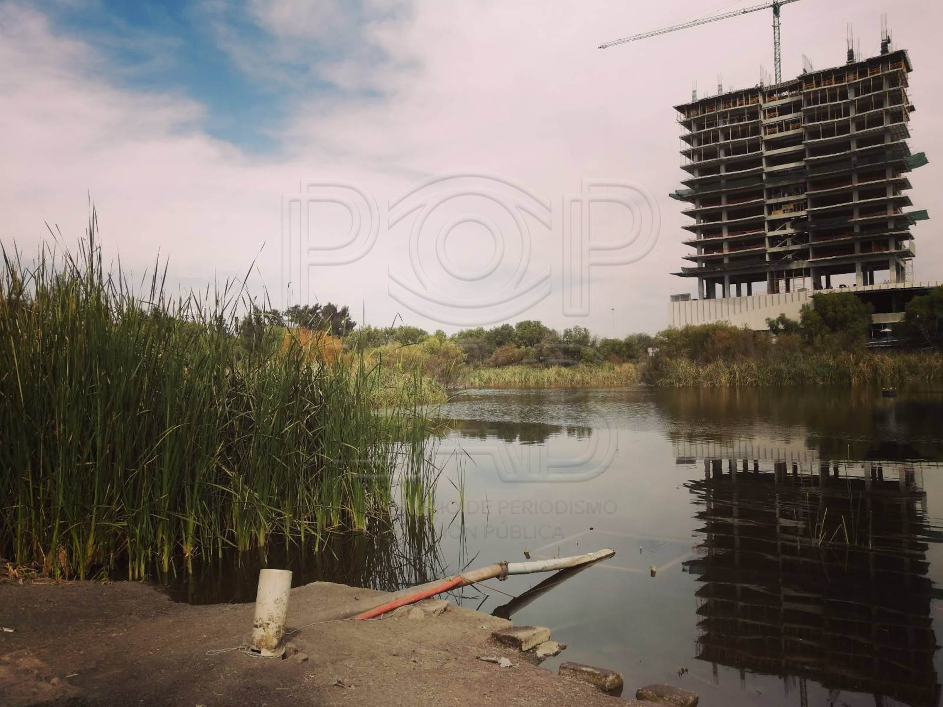 Foto: Fabián Sánchez.