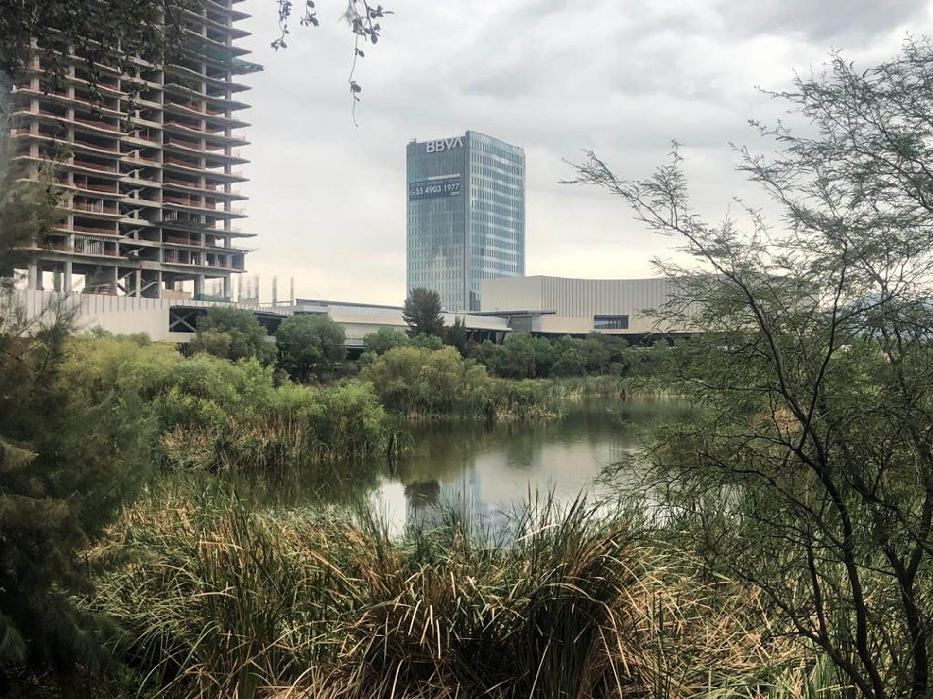 Foto: Acción Colectiva