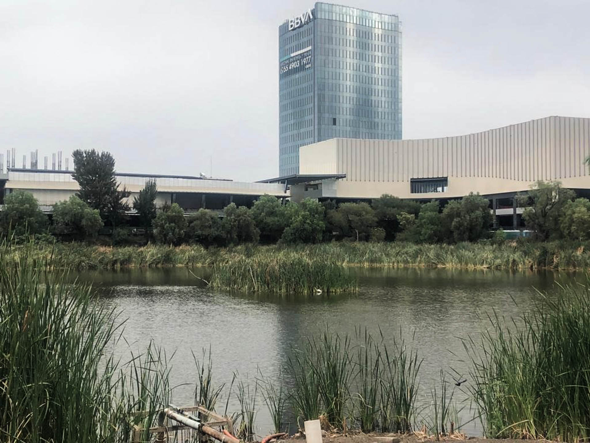 Foto: Acción Colectiva