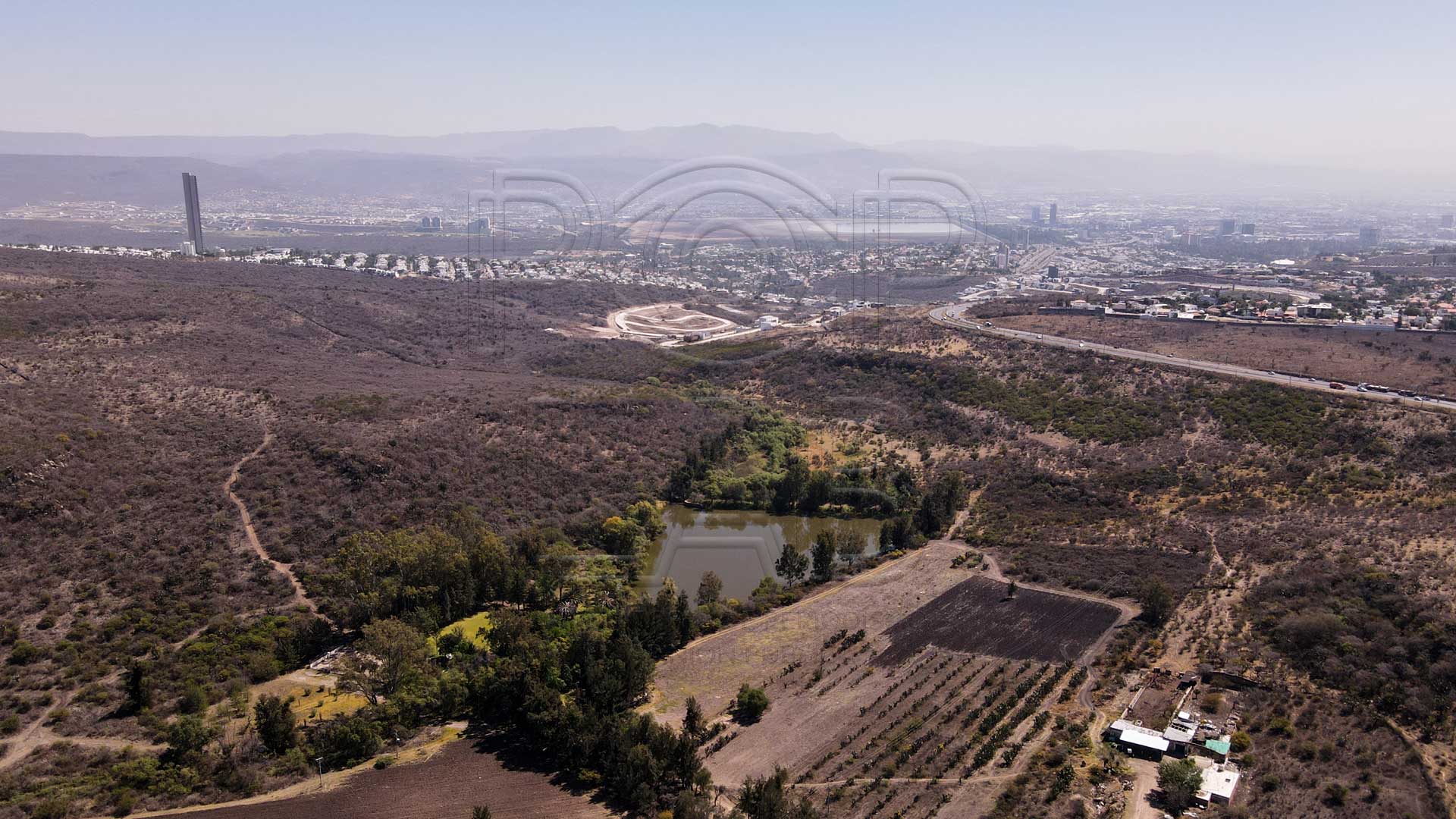 Zona de Reserva conocida como El Laurel. Foto: Juan José Plascencia