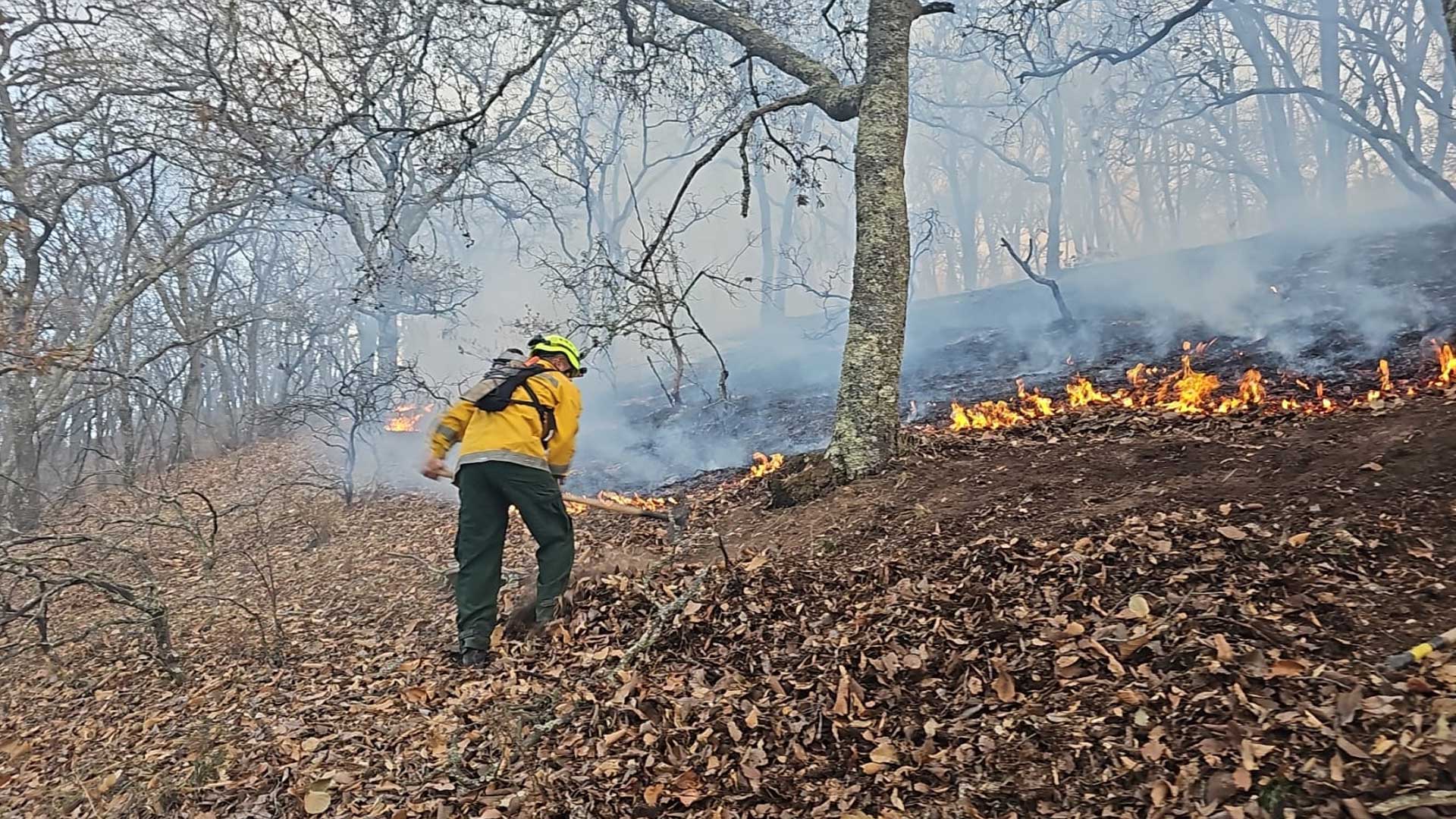 Fotografías especiales