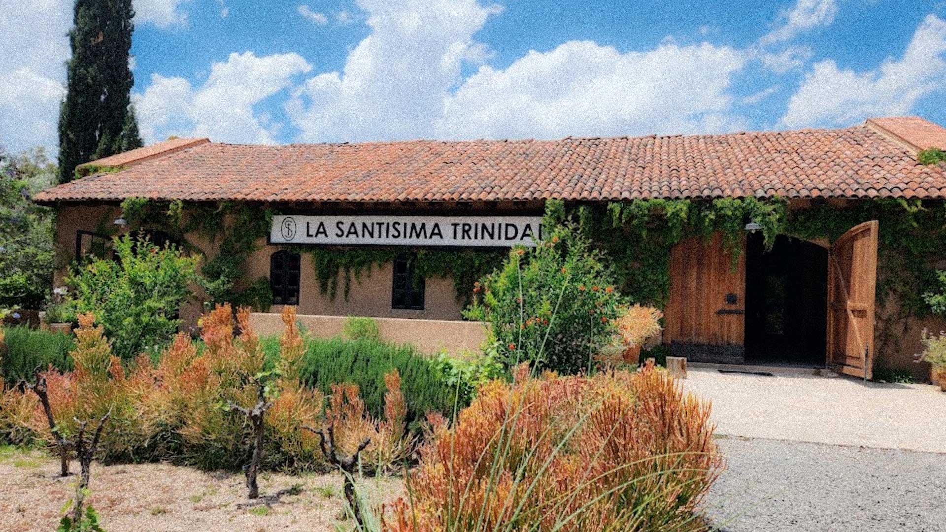 Foto: Especial Viñedo Santísima Trinidad