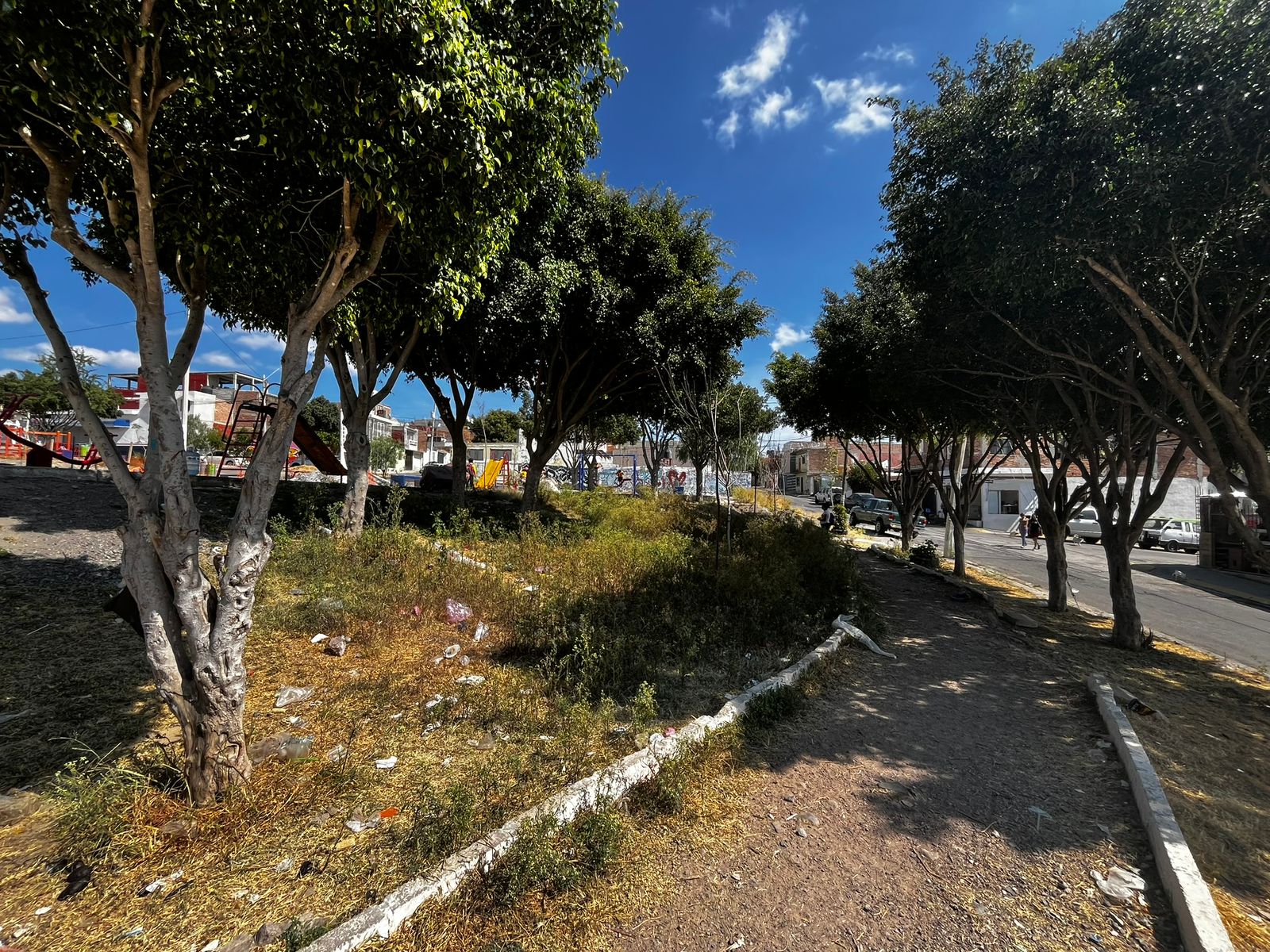 Foto: Melissa Esquivias