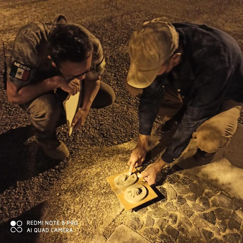 En el Bosque de Cobos se han localizado diversos objetos arqueológicos y paleontológicos. Fuente: Guardabosques de "Los Cobos"
