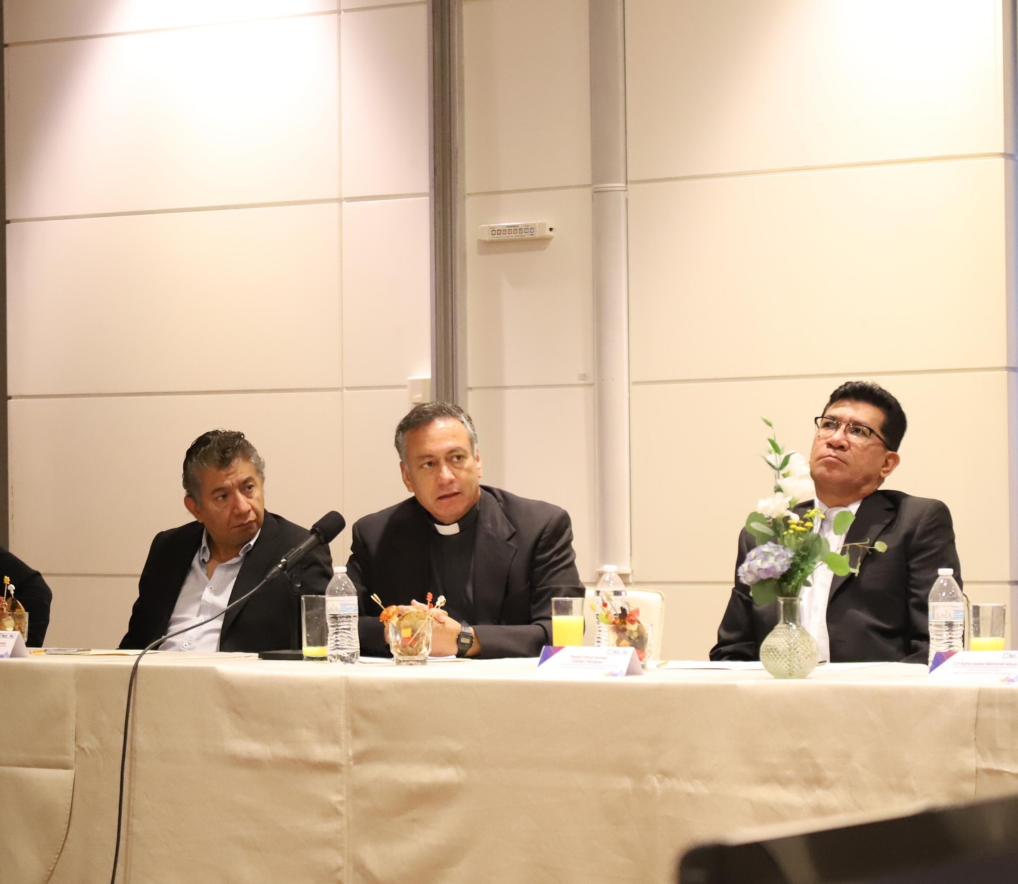 Sesión del Órgano Ciudadano para la Familia realizada en octubre. Fuente: RRSS