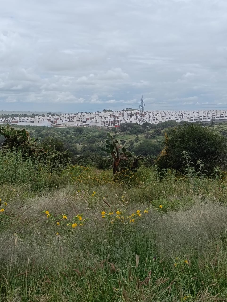 Vista del Fraccionamiento Lunaria, de Grupo San Cristóbal, desde El Malacate. Pobladores creen que el agua será entregada a la empresa (Mónica Cerbón)